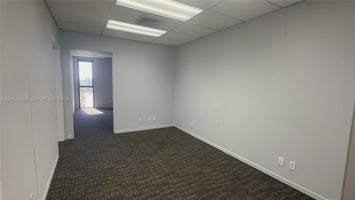 34382331
