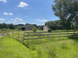 34388338