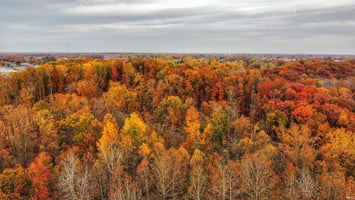 34389819