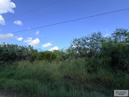34390222