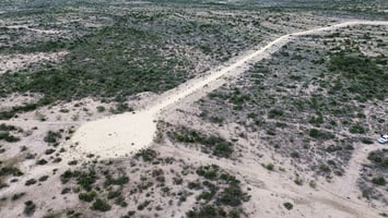 34390251