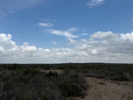 34390246