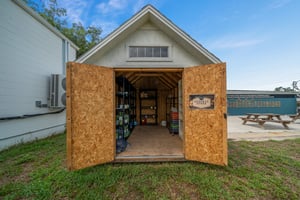 34392808