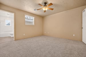 34393924