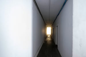 34394206