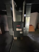 34394459