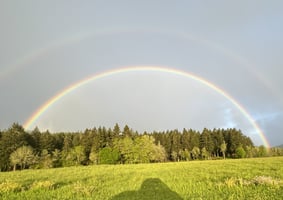 34397953