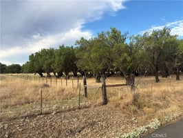 34455016