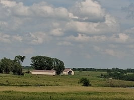 34399777