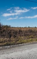 34401369
