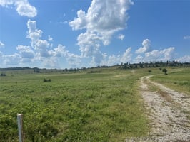 34401741