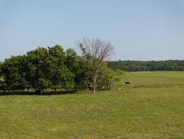34401766
