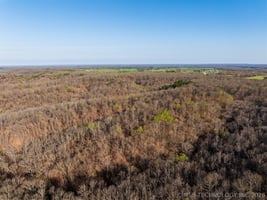 34401913
