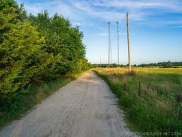 34401828