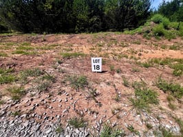 34402156