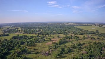 34402442