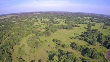 34402424
