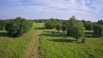 34402426