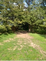 34402709