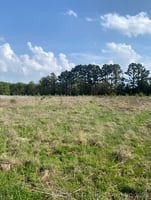 34402712