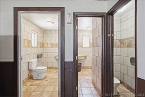 34402646