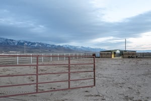 34407398