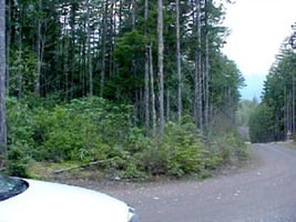 34430066
