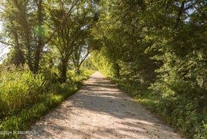 34408817