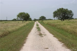 34414017
