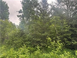 34414543