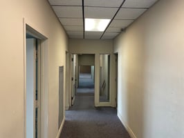 34418239