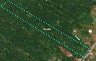 34418584
