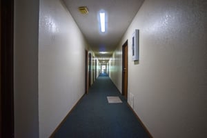 34424037