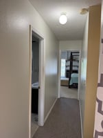 34428772