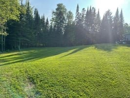 34429421