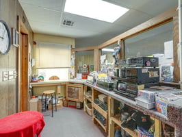 34431067