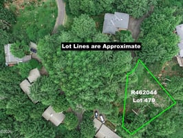 34433662