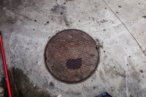 34436741