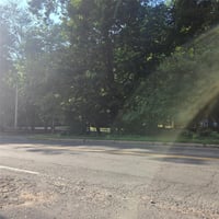34438818