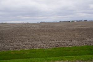 34446801