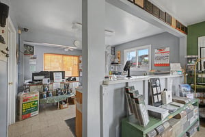 34450366