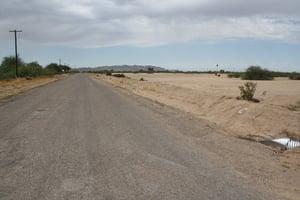 34451063
