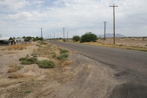34451061