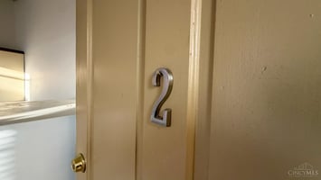 34451481