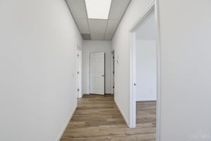34451578