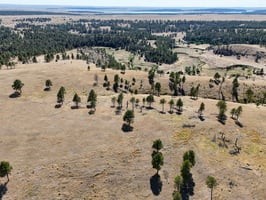 34452706