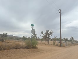34453628