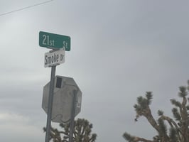 34453627