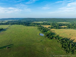 34459856