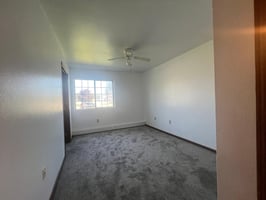 34461259